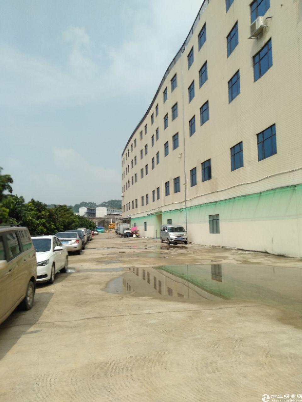 黄埔开发区工业园区整层1500平米全新厂房仓库出租