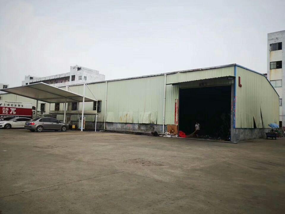 清溪镇超大空地单一层钢结构2200平方可生产可仓库