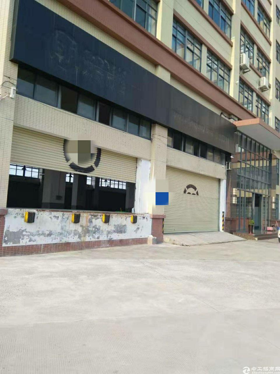 番禺大道边标准一楼2250平方仓库出租丙二类消防带高台。