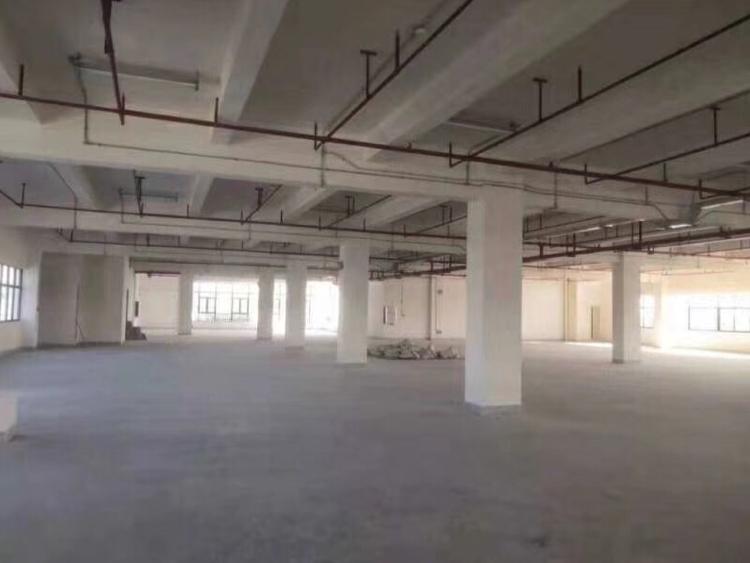 番禺区南浦镇标准工业园现有一楼6800平厂房仓库出租