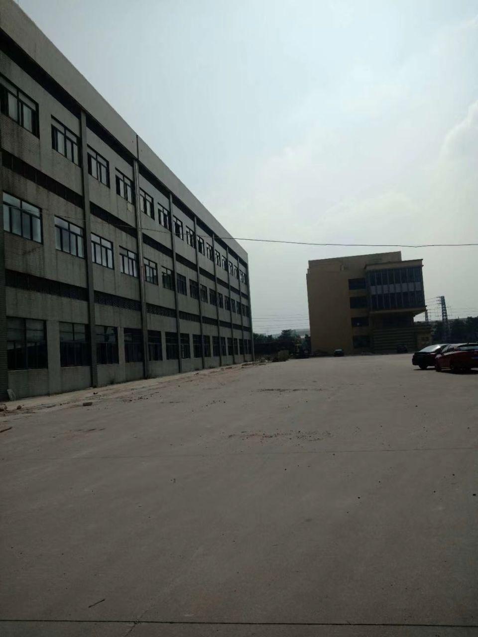 广州番禺原房东独栋厂房仓库出租工业园区内层高6米可分租