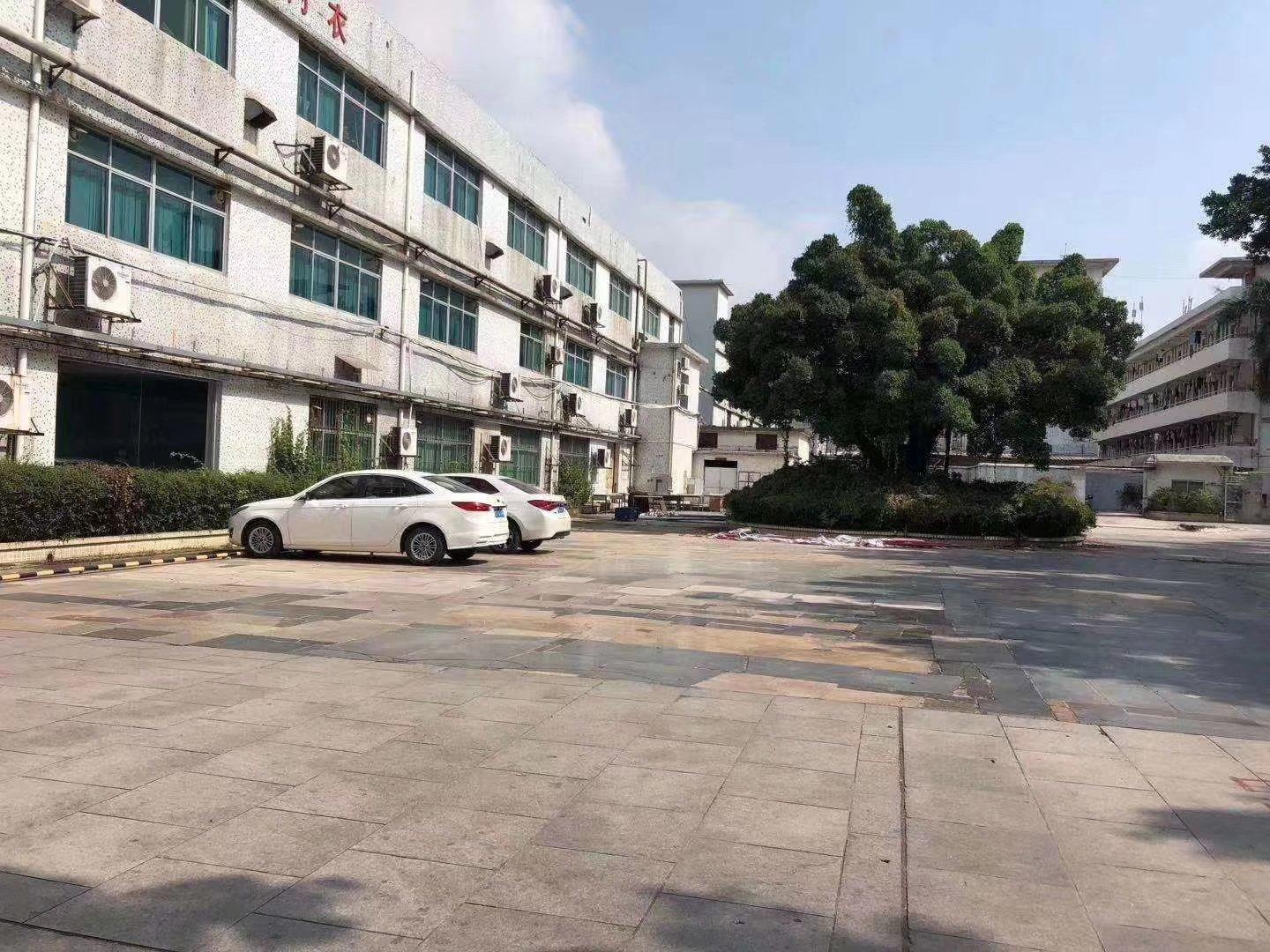 沥林镇厂房出租