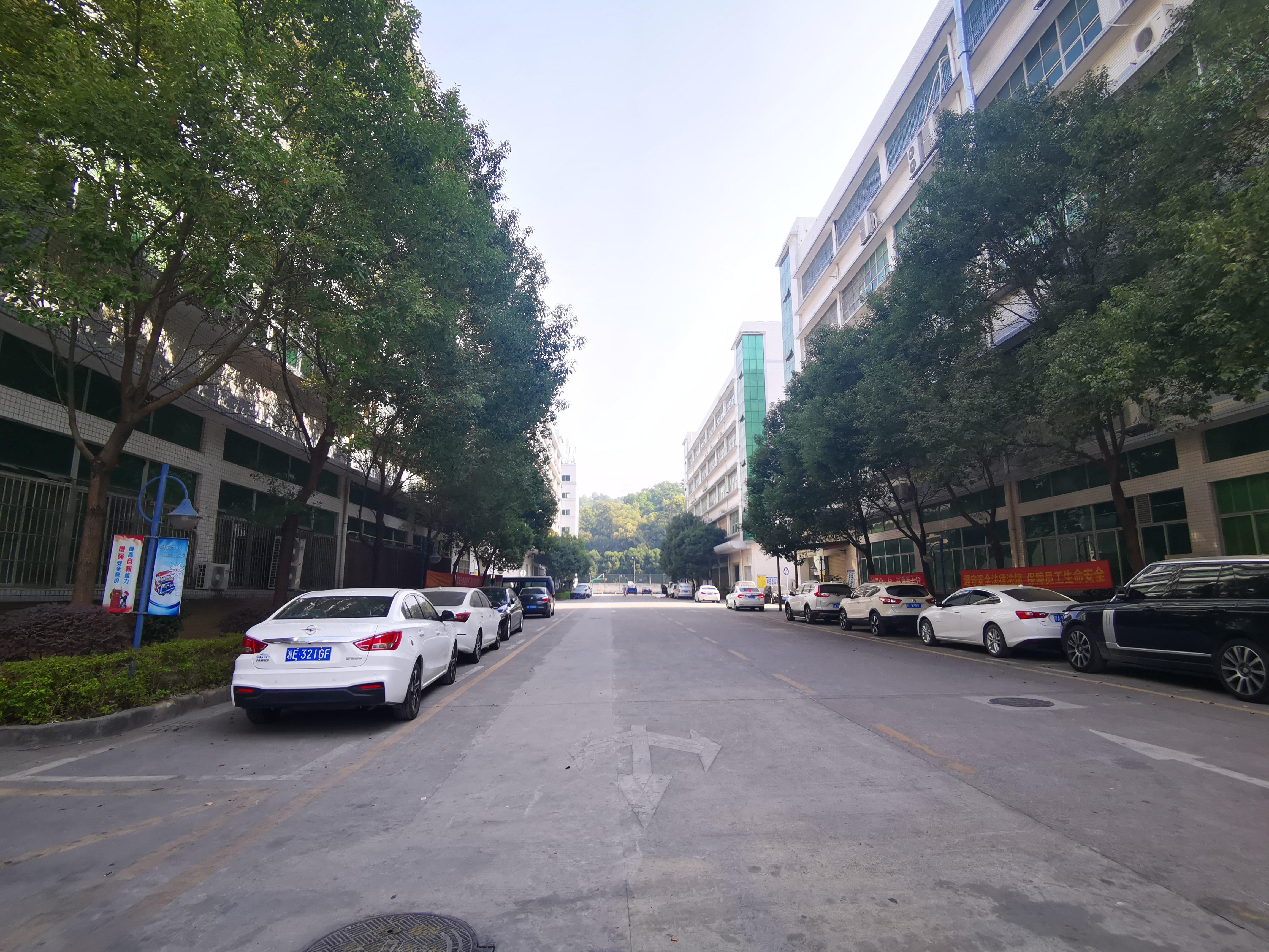 观澜章阁人口_观澜章阁华庭户型图