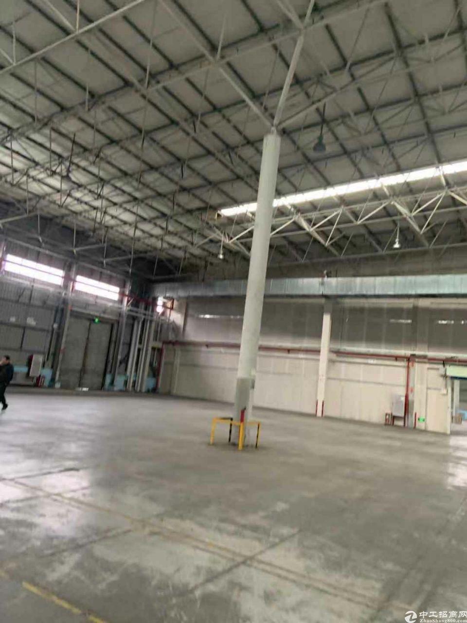 黄埔开发区滴水十米钢结构1500平带高台厂房仓库出租