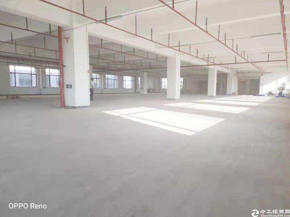 广州黄埔科学城全新厂房1330平可生产可做仓库出租
