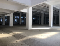 广州新塘标准厂房滴水7米厂房整层5000平方招租