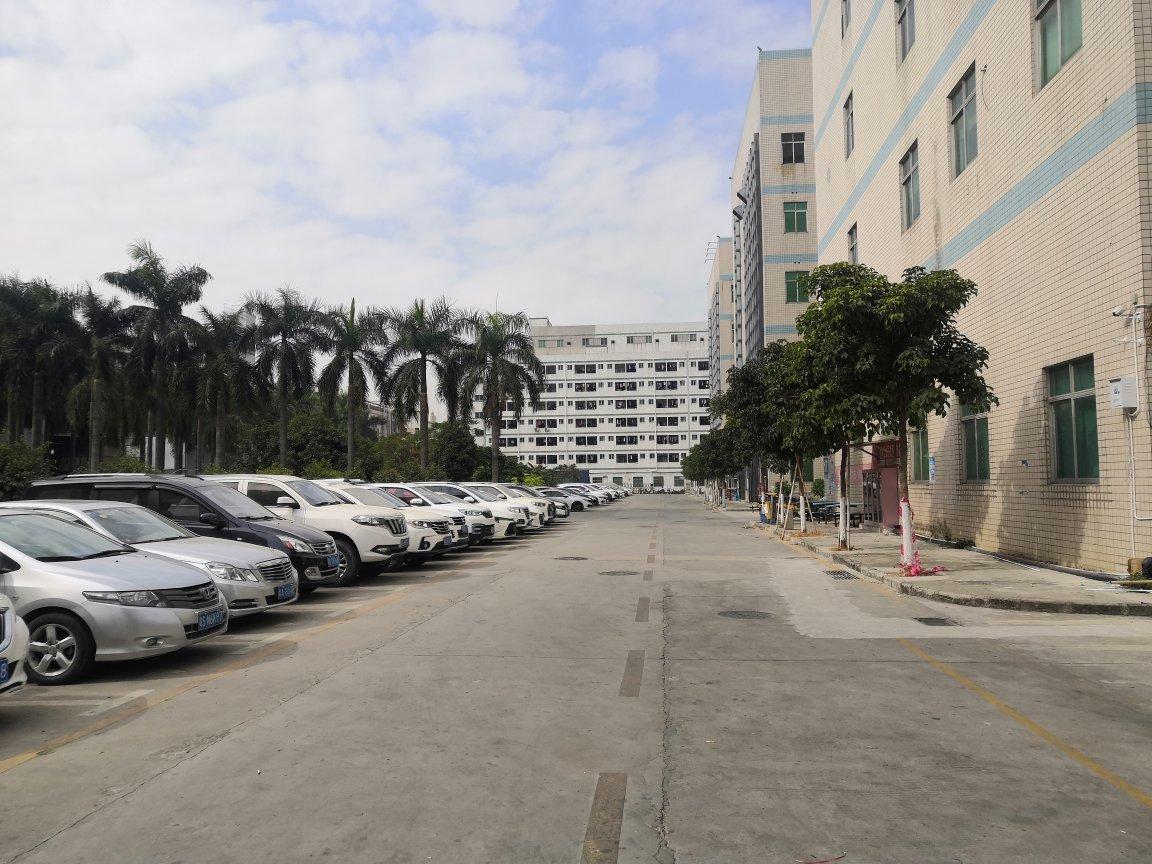福永塘尾工业园宿舍一楼830平电商物流仓库