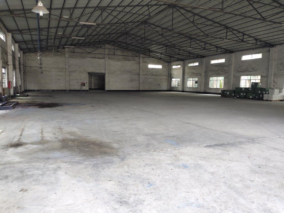 花都区炭步镇茶塘村工业区分租一楼厂房仓库，交通方便。