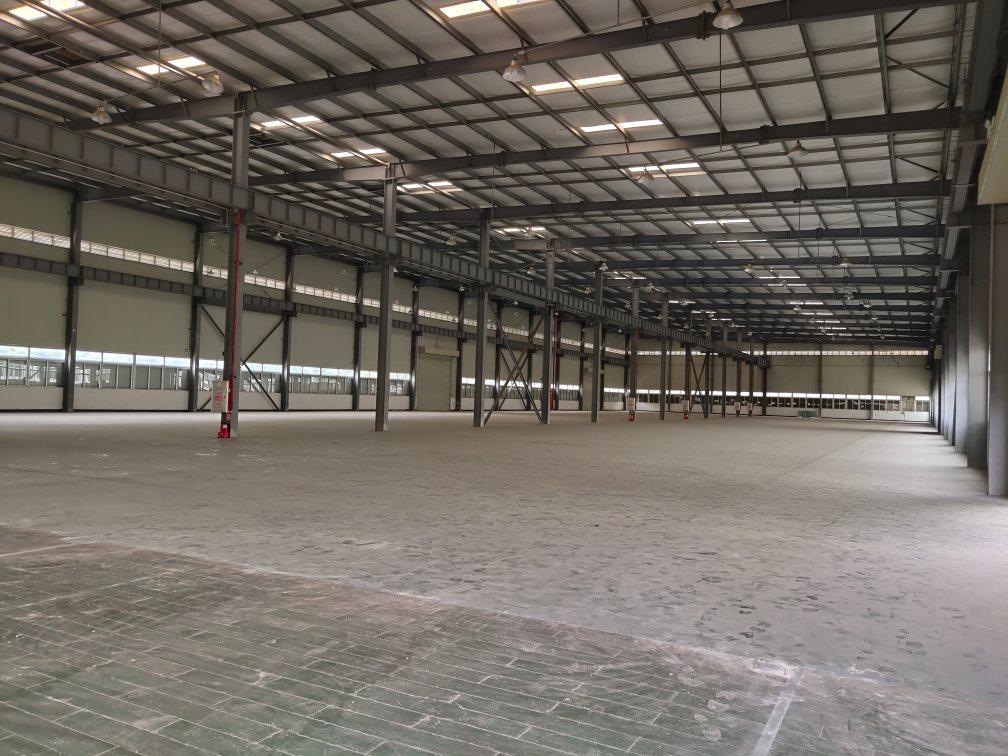 海出新出钢结构厂房仓库2万平大小可分出高度12米