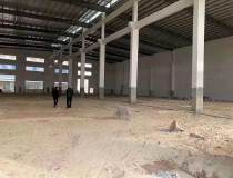 南庄新钢结构出厂高度16米5000平米！！！