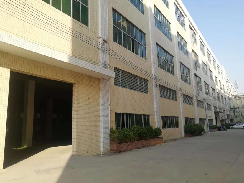 新塘镇新出35000方大型标准楼房仓库出租带五吨