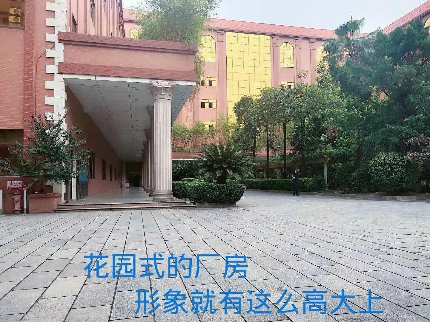 普通图片