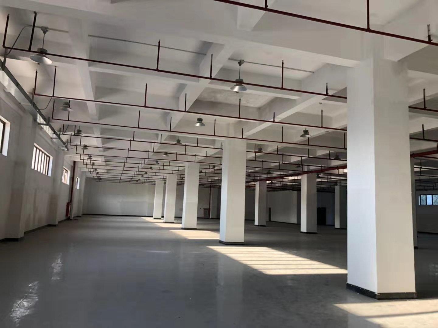 广州黄埔科学城厂房仓库，1100平带装修，大小可分租。