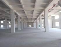 高明明城工业园区新出全新标准厂房18000平米出售