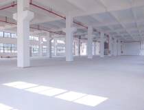 北滘成熟工业区80000方标准楼层厂房出租可办环评2000起