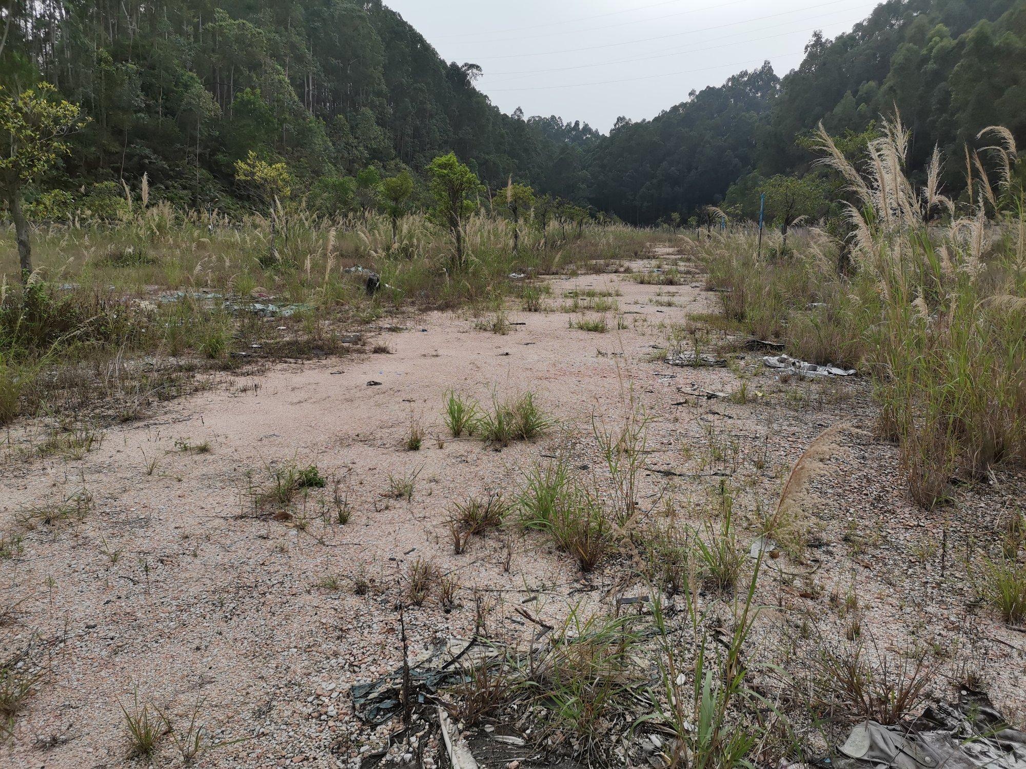 狮岭镇43亩空地出租