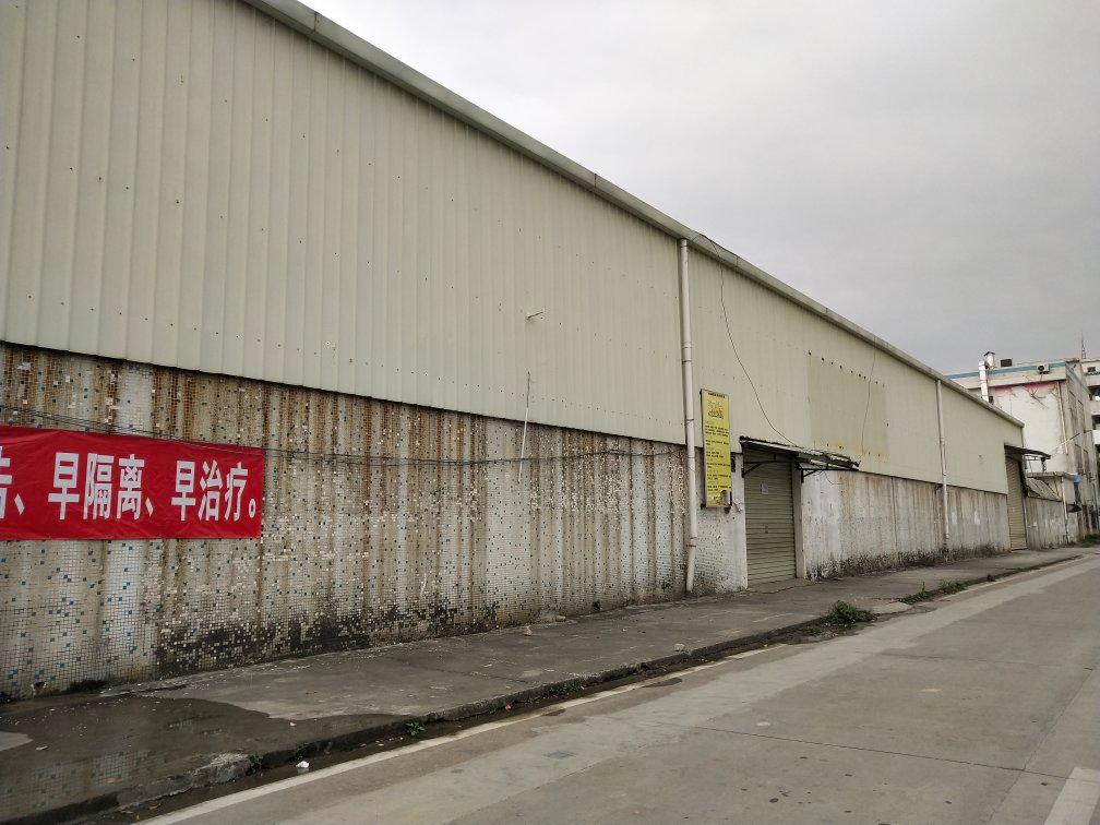 黄江北岸靠路边新出独栋600平钢构厂房适合各种物流仓库小加工