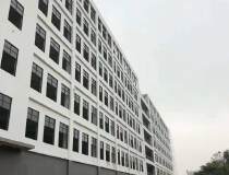 广州黄埔新出小面积厂房1300平出售国有独立产权46年