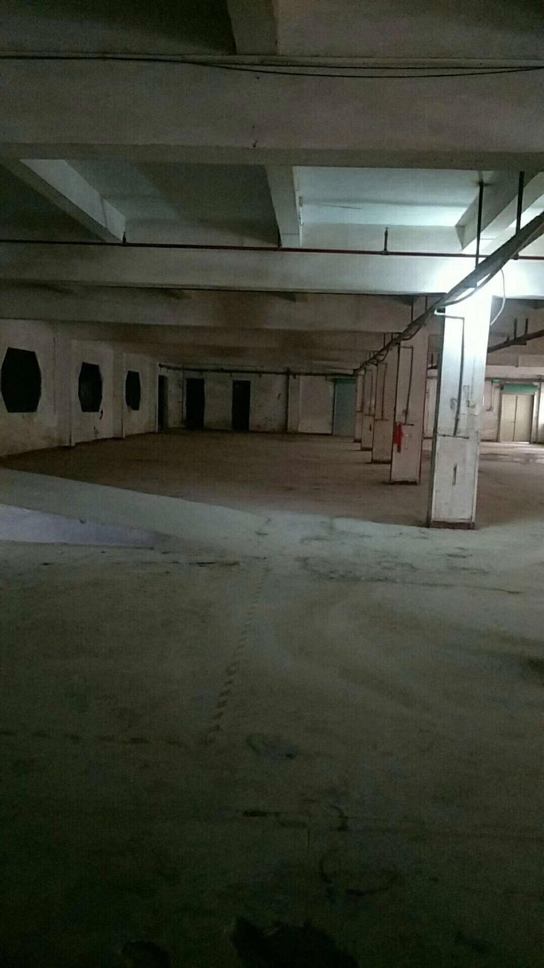 东坑个人厂房一楼1500平可做仓库，带空地