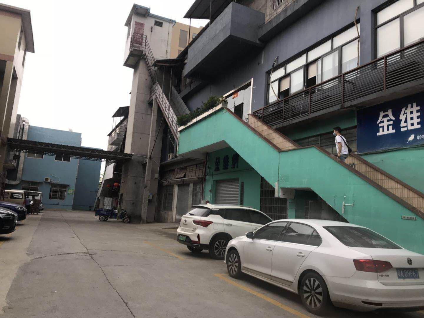 广州市区有多少人口_广州有多少个区(2)
