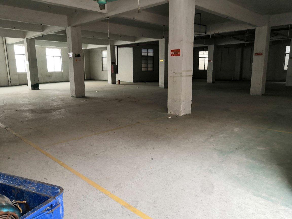 东平工业区独院分组600平方标准一楼厂房仓库