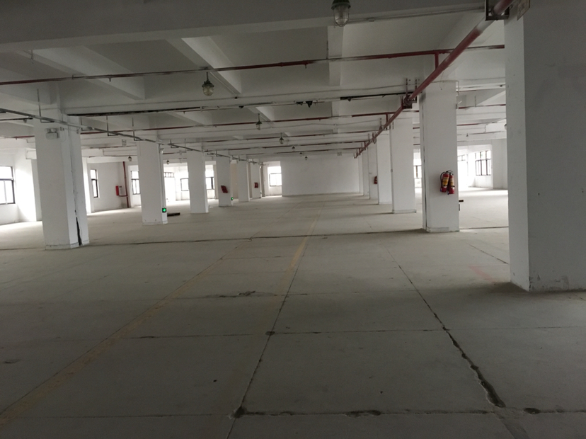 横沥可做仓库厂房一层2300平方带卸货平台，两部货梯
