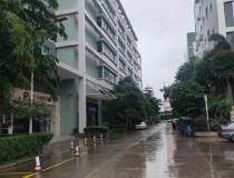广州市黄埔开发东区云埔一路区建筑面积68000平标准厂房出售