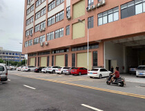 东莞市常平新出马路边新建独栋厂房出租，一楼高度7米，可架航车