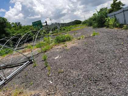 龙岗区横岗新出11000平方米空地，报价13元/平方，2