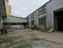 杨桥厂房出售占地面积3580平方，钢构厂房，独门独院。