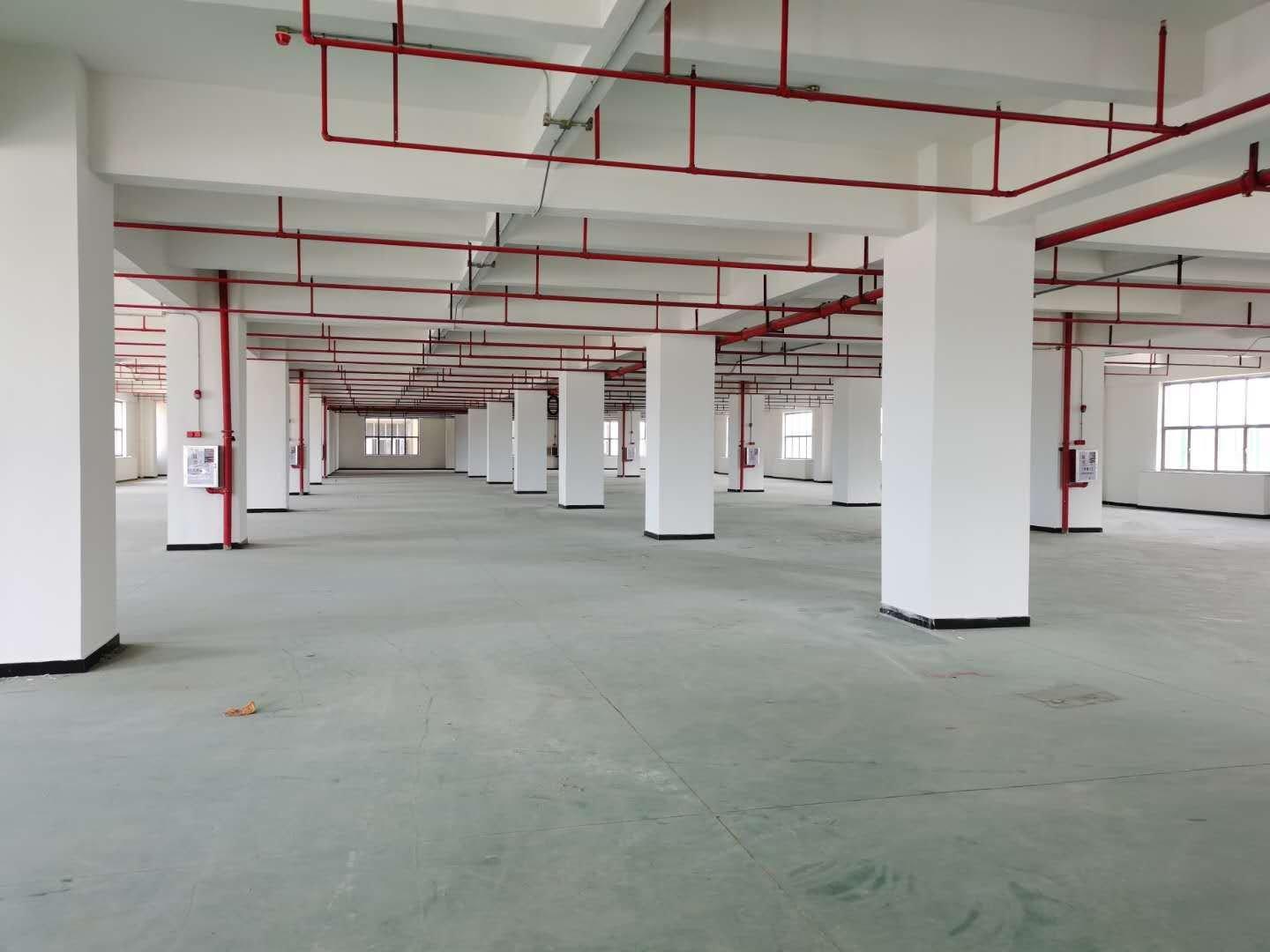 全新工业园区每层3000平方厂房仓库出租两台货梯和客梯到车间
