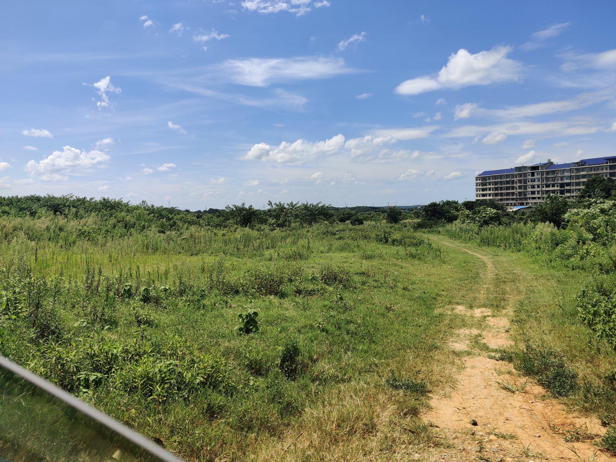 望城普瑞西路100亩土地优价出租，可分割1