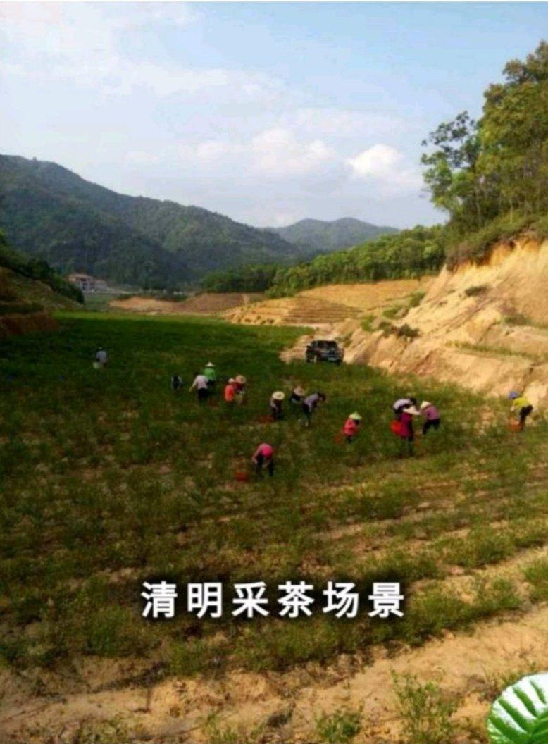 河源占地3800亩赠送2200亩建筑7500平基地出售