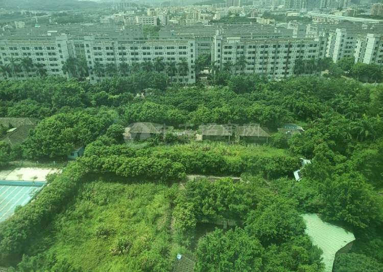 深圳市河源旅游景点，休闲项目使用6000亩土地1