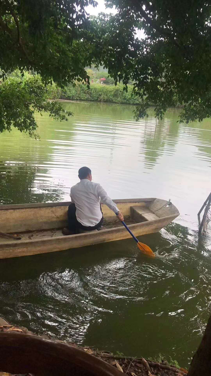 普通图片