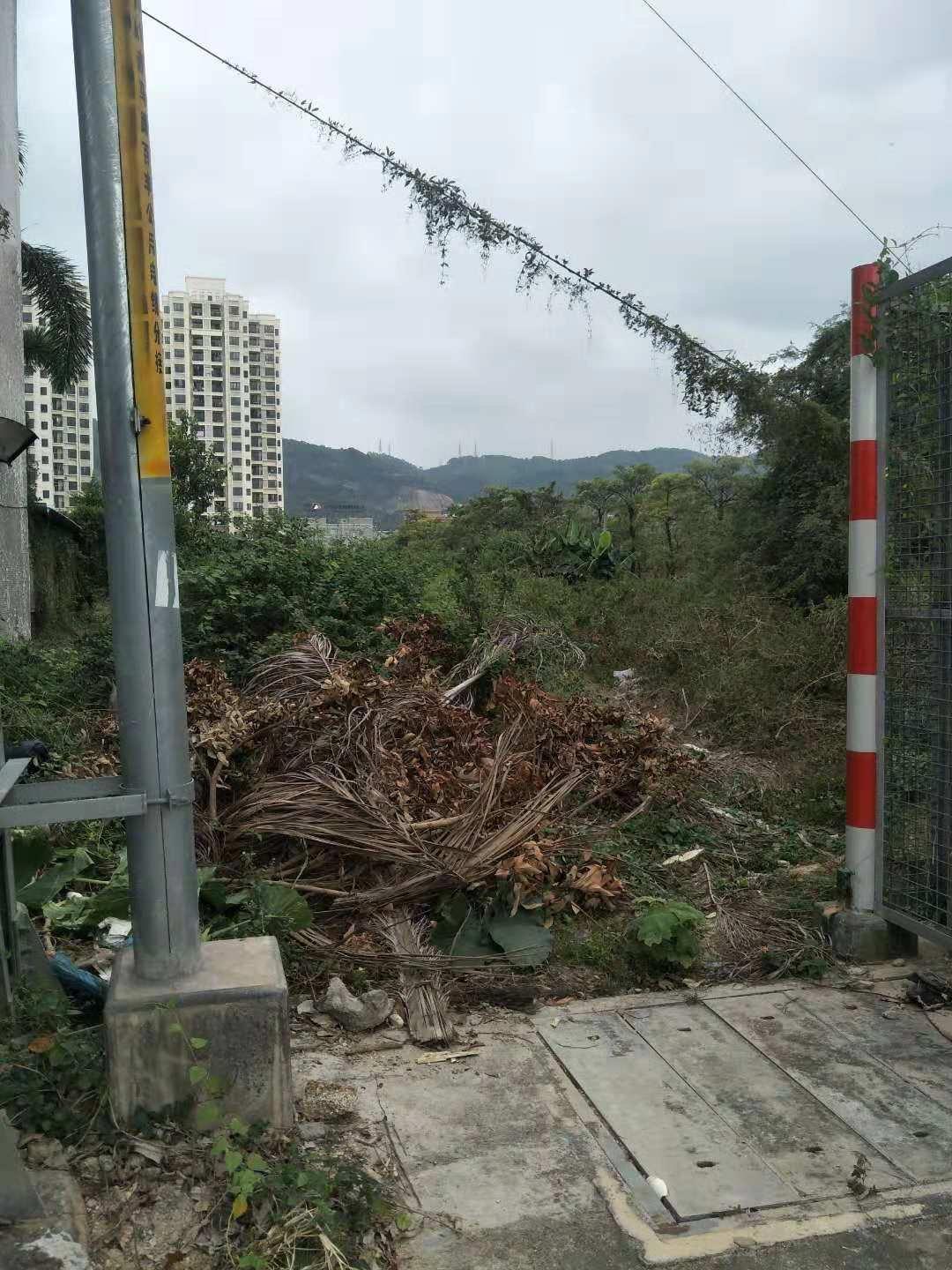 东莞市虎门镇地皮8000平方对外招租2