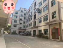深圳龙岗村委独院厂房建筑面积3900平方出售