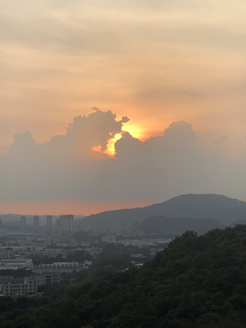 普通图片