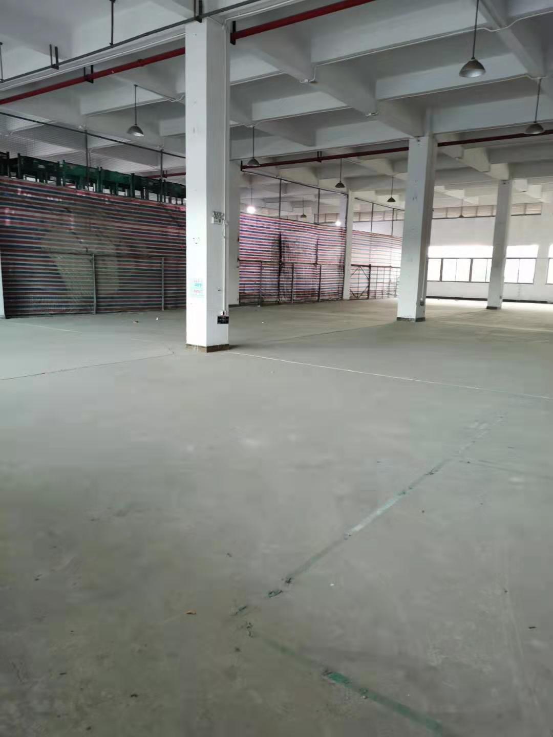 麻涌标准一楼厂房仓库2500平高6米高速口交通便利