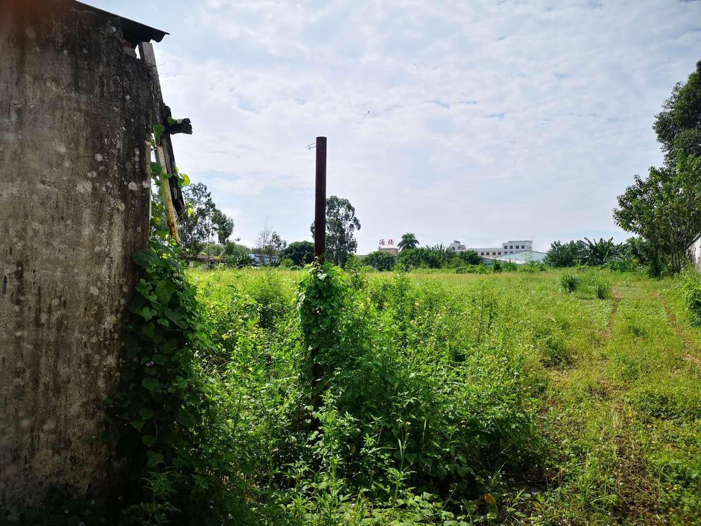 花山镇花芙路大马路边5亩土地，可养殖，可放货，可停车。1