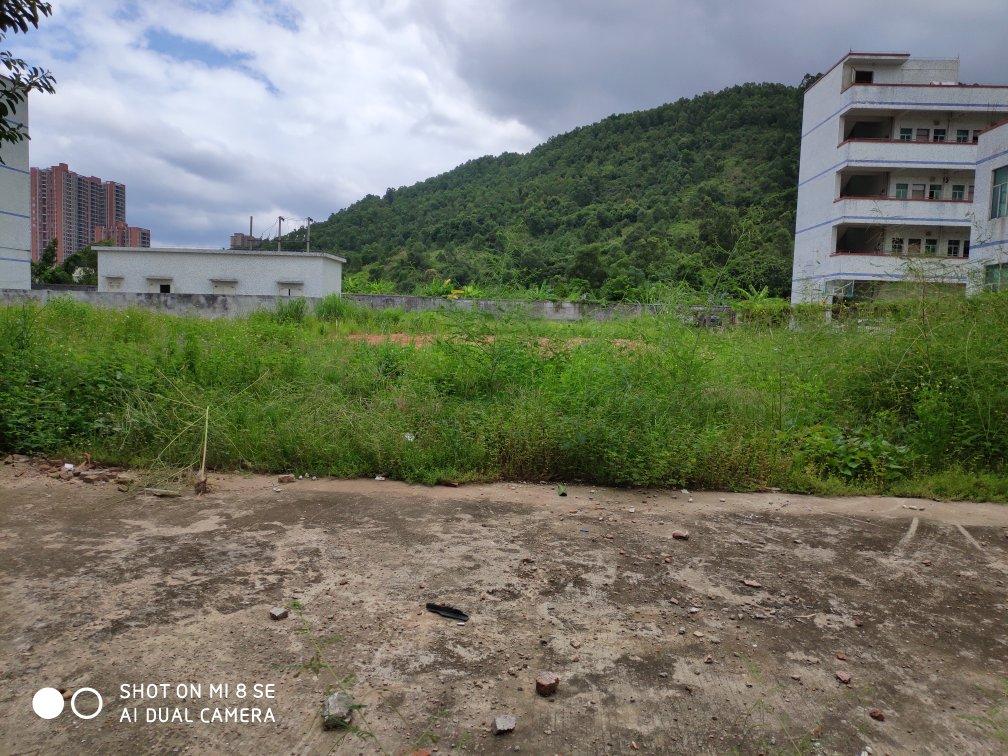 大亚湾西区红本土地出售6680平方1