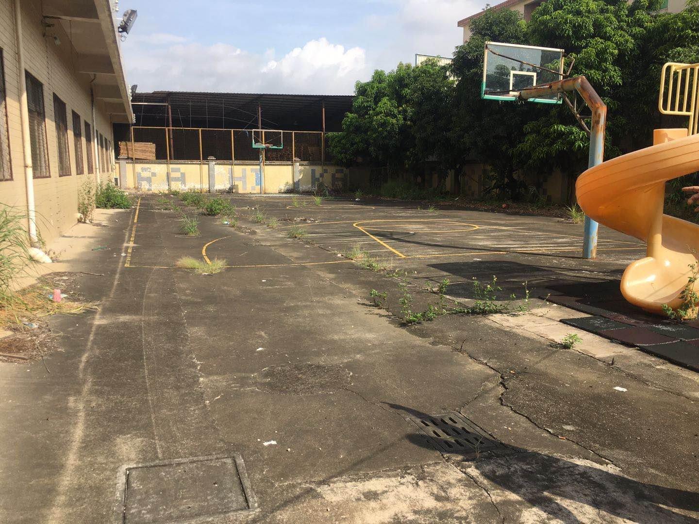 南沙区东涌镇市南路太石村1200平空地出租1