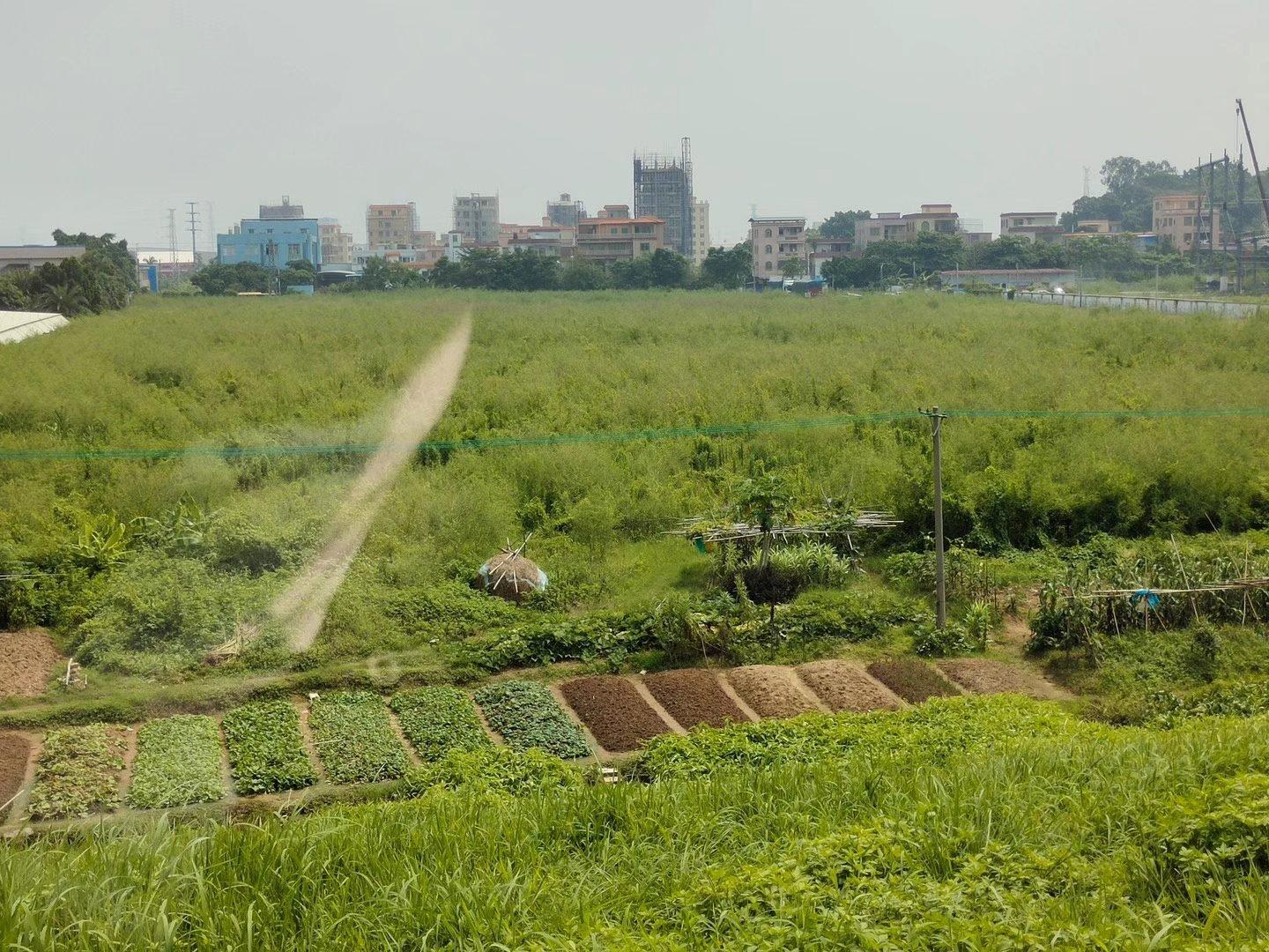 三水区有102亩空地可以正规报建1