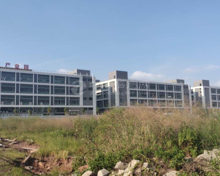 广东清远市清城区250000平方标准厂房出售