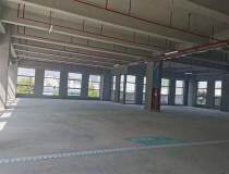 红本全新厂房、可租可卖、1-10层24000平米、可分层