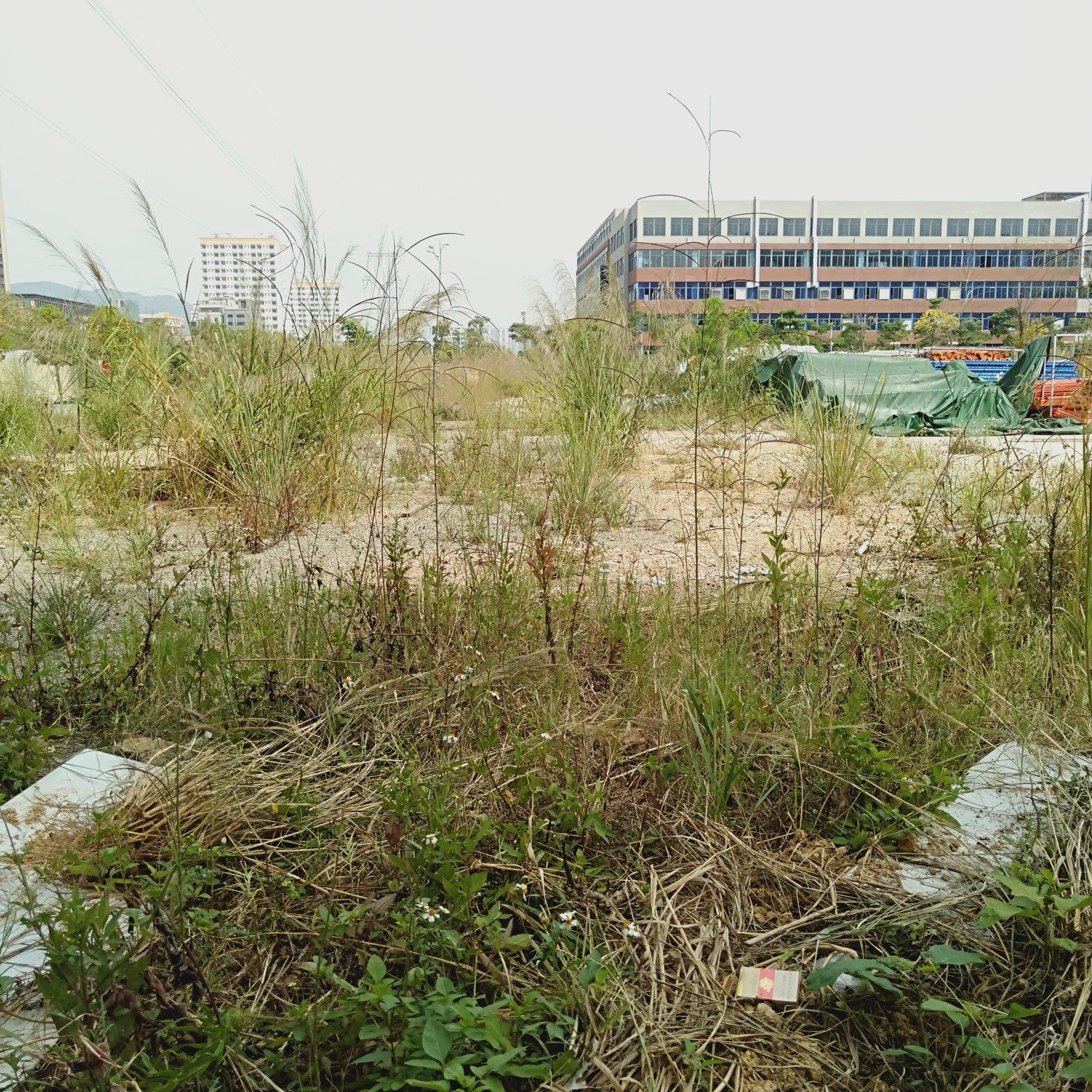 惠阳三和经济开发区空置土地出租工业用地证件齐全可分租1