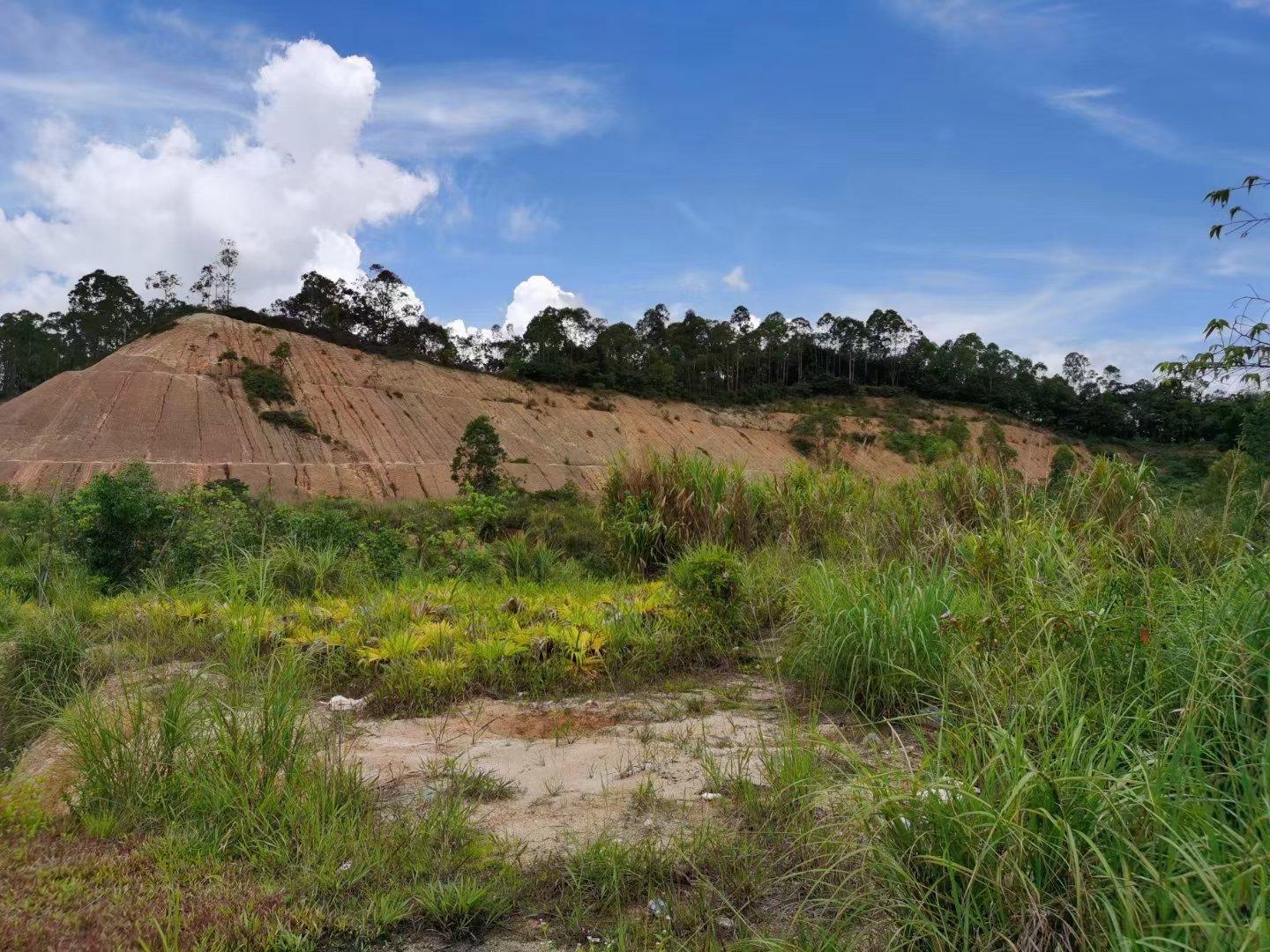 石岩水田新出55000平大马路旁村委可搭建钢结构可分售空地1