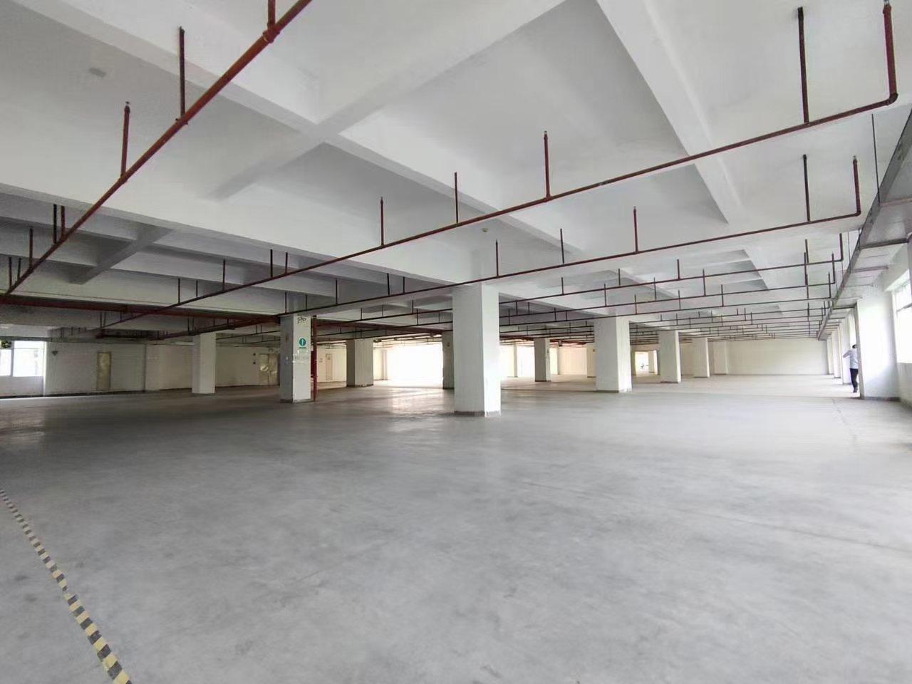 观澜高新园区红本厂房出租，单层面积3500平方，适合仓库生产