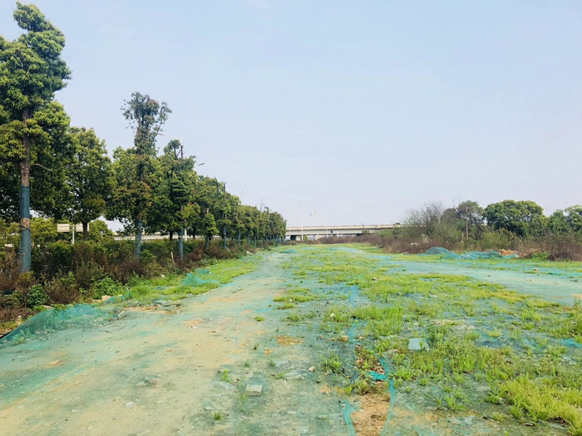 自有物业场地15亩场地出租位于松雅湖附近1