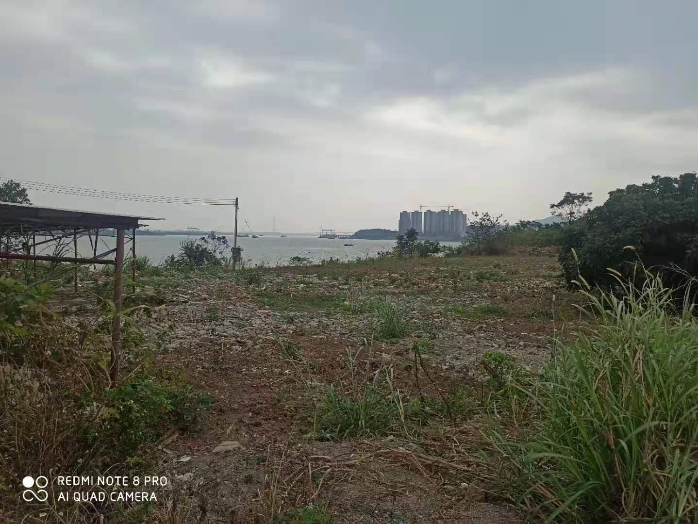 高明区荷城街道富湾土地出租，可堆放2